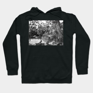 Vintage photo of Ruins of Copan Hoodie